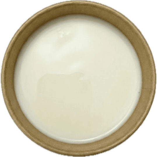 High Protein Shake